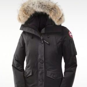 Canada goose black Montebello